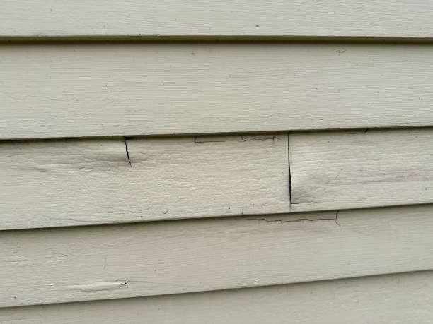 Best Shed Removal  in Sand Ridge, NY